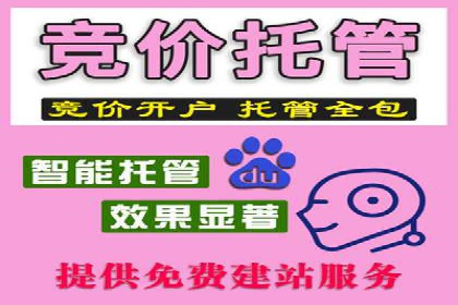 成功案例：一家初创企业如何通过百度关键词推广快速崛起