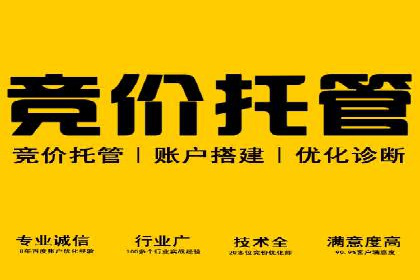 百度竞价包年实战：某行业巨头的成功秘诀